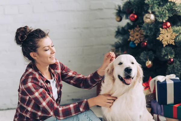 Happy Young Woman Petting Adorable Golden Retriever Christmas Tree Home — Stock Photo, Image