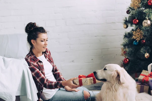 Jovem Mulher Dando Caixa Presente Natal Para Adorável Golden Retriever — Fotografia de Stock