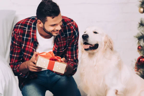 Smiling young man holding christmas gift box near adorable golden retriever at home — Stock Image Smiling Young Man Holding Christmas Gift Box Adorable Golden Retriever Stock Photo