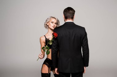 Lingeriewith kırmızı gül siyah kostüm gri izole man yakınındaki baştan çıkarıcı kadın 