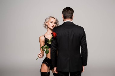 Seductive woman in lingeriewith red rose near man in black costume isolated on grey  clipart