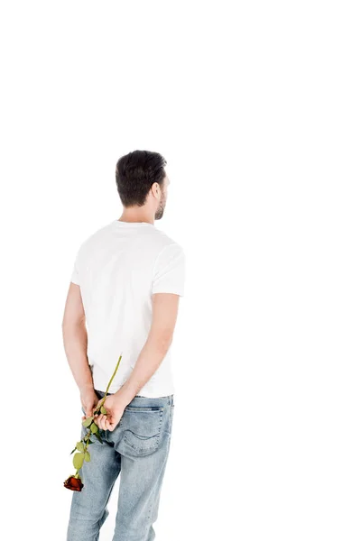 Back View Man White Shirts Red Rose Back Isolated White — Free Stock Photo