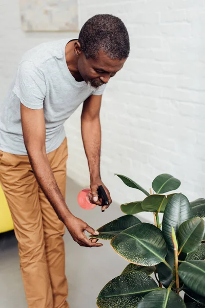 Handsome African American Man Spraying Green Leaves — Stock Photo, Image