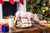 Niedliches Schweinchen auf Holzkiste mit Plätzchen und einem Glas Milch zur Weihnachtszeit