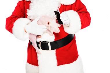 cropped shot of santa claus holding piggy in hand and giving her phone for talk isolated on white clipart