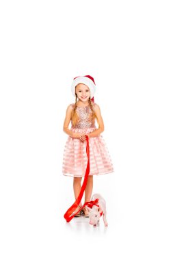adorable little child in santa hat with leashed piggy looking at camera isolated on white clipart