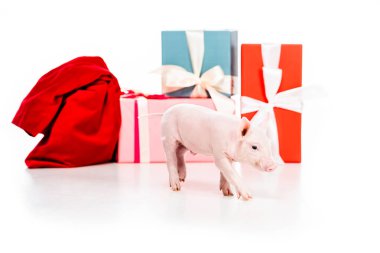 close-up shot of piggy and christmas gifts isolated on white clipart