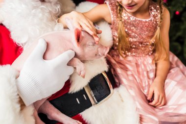 cropped shot of santa and happy little child playing with cute pig clipart