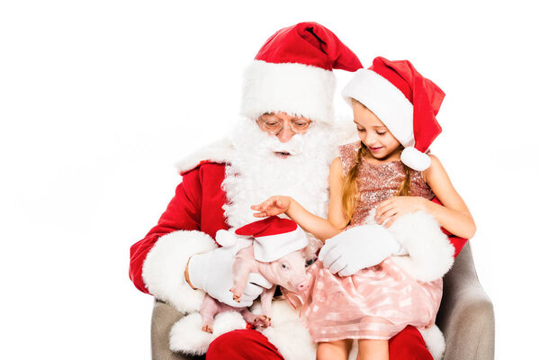 santa claus and little child sitting on armchair and petting piggy isolated on white