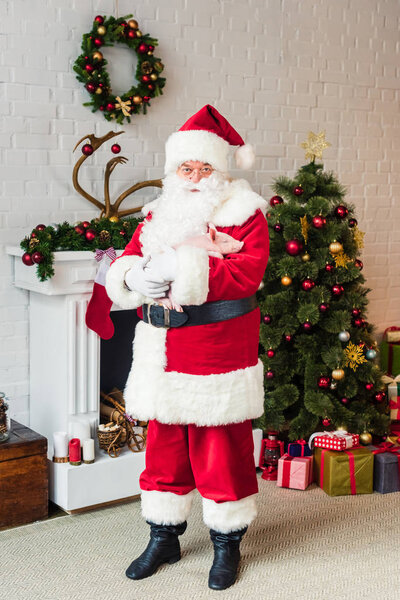 full length view of santa claus holding cute piglet and looking at camera