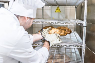 taze sıcak ekmek raf koyarak Beyaz şefler üniformalı erkek baker 