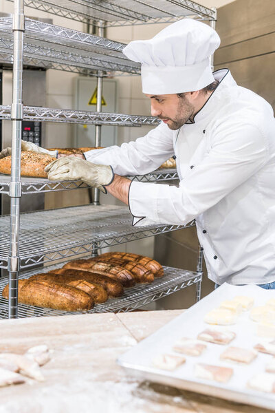 adult male baker in white chefs uniform putting fresh hot bread at rack 