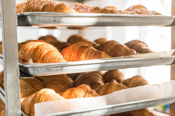 close up of golden croissants on baking trays at kitchen