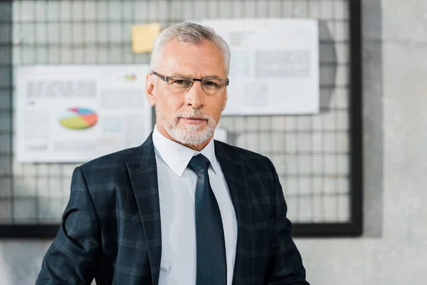 Portrait Handsome Mature Businessman Suit Eyeglasses Looking Camera Office — Free Stock Photo