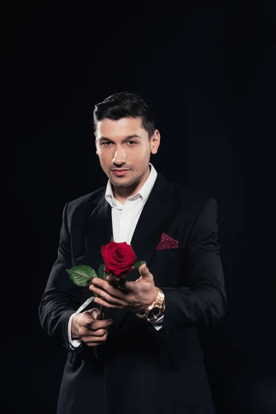 Hombre Guapo Traje Mirando Cámara Sosteniendo Rosa Roja Aislado Negro —  Fotos de Stock