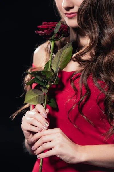 Obcięty Widok Kobiety Czerwonej Sukience Trzymając Kwiat Róży Czarnym Tle — Zdjęcie stockowe