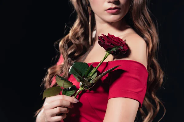 Частковий Вигляд Жінки Червоній Сукні Тримає Троянду Ізольовано Чорному — Безкоштовне стокове фото