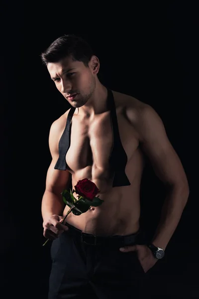英俊的无袖男子看着相机 拿着红玫瑰孤立的黑色 — 图库照片