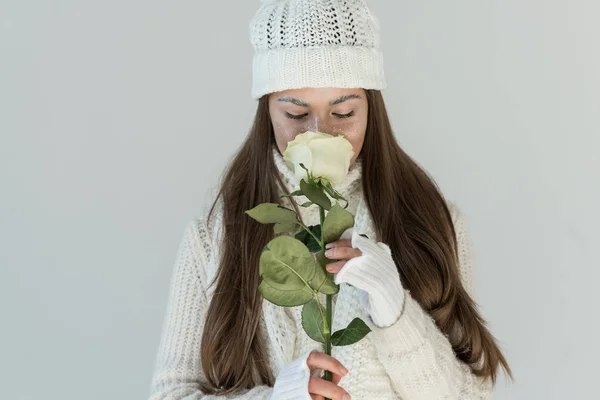 Mujer Atractiva Suéter Invierno Moda Bufanda Olfateando Rosa Blanca Aislada — Foto de stock gratis