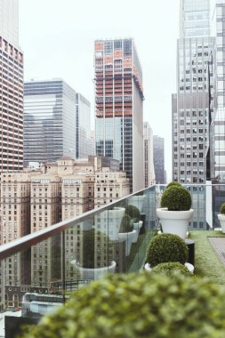 new york mimarisi ve çiçeklik doğal görünümünü balkon, ABD