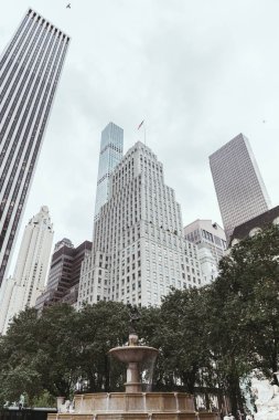 düşük açılı görünüş gökdelenler, ağaçlar ve şehir Çeşme new york, ABD
