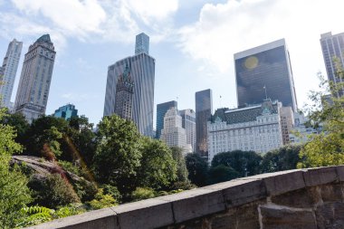 Şehir Parkı ağaçlarda ve new york, ABD içinde gökdelenler ile kentsel manzara