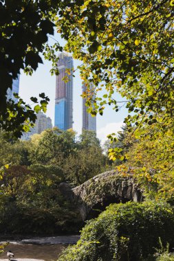 binalar ve şehir parkı new york, ABD