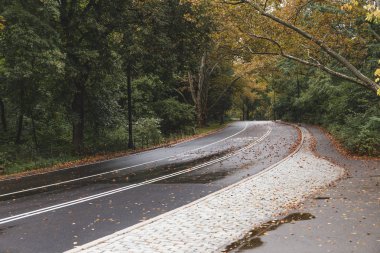 new york, ABD yeşil ağaçlar ile şehir parkının doğal görünümü