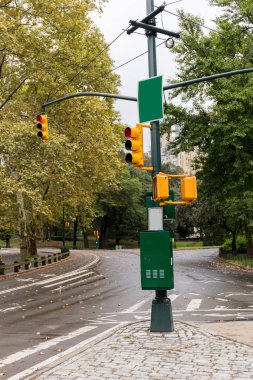 urban scene with empty road, traffic lights and green trees in new york, usa clipart