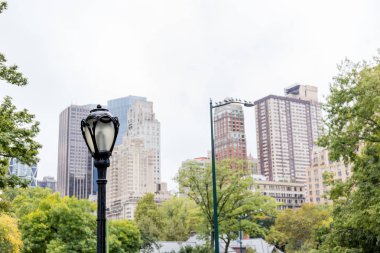 Şehir Parkı ağaçlarda ve new york, ABD içinde gökdelenler ile kentsel manzara