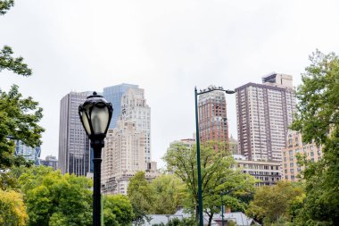Şehir Parkı ağaçlarda ve new york, ABD içinde gökdelenler ile kentsel manzara