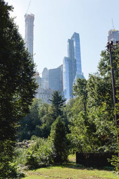 Urban scene with trees in city park and skyscrapers in new york, usa