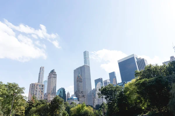 Escena Urbana Con Árboles Parque Ciudad Rascacielos Nueva York —  Fotos de Stock