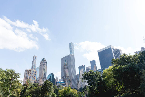 Urban scene with trees in city park and skyscrapers in new york, usa