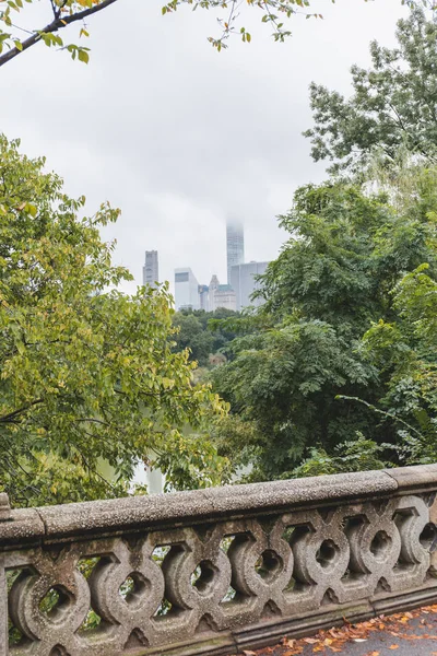 Clădiri Parc Urban New York Statele Unite Ale Americii — Fotografie de stoc gratuită