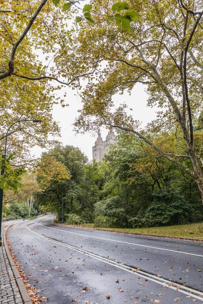 Vue Panoramique Parc Ville Avec Des Arbres Verts New York — Photo