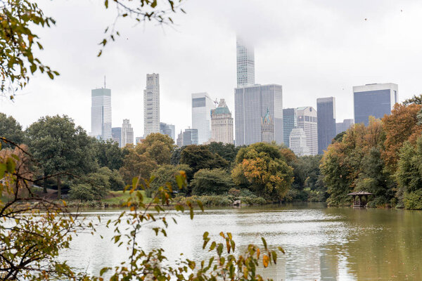 buildings and city park in new york, usa