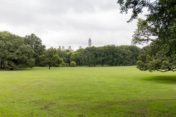 緑の木々 とニューヨーク 米国の都市公園の草の風光明媚なビュー — ストック写真