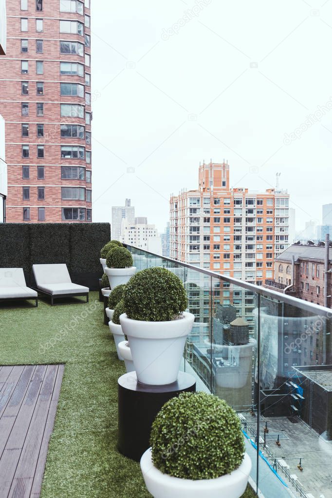 scenic view of new york architecture and flowerpots on balcony, usa