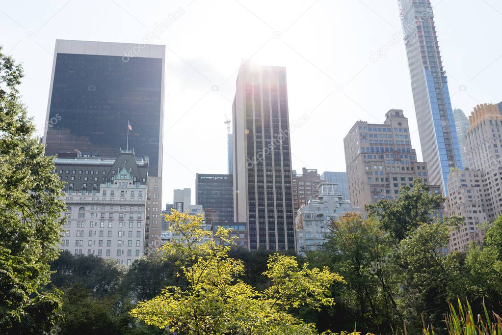 urban scene with green trees and city architecture of new york, usa