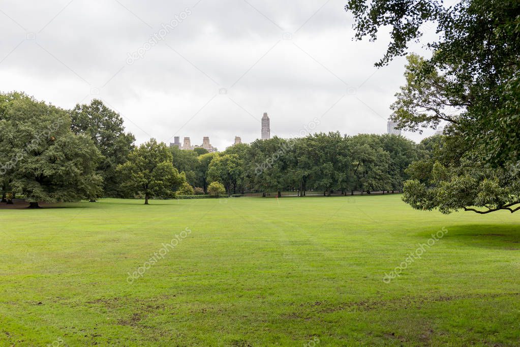 scenic view of green trees and grass in city park in new york, usa