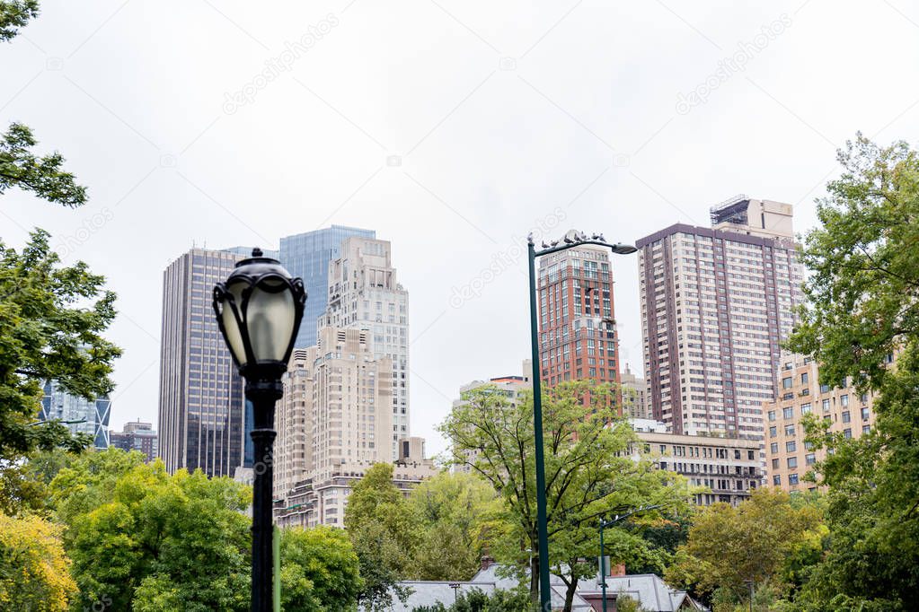 urban scene with trees in city park and skyscrapers in new york, usa