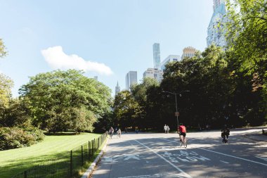 New York, ABD - 8 Ekim 2018: doğal görünümü gökdelenler ve park new york, ABD