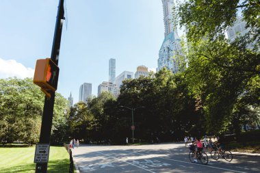 New York, ABD - 8 Ekim 2018: doğal görünümü gökdelenler ve park new york, ABD