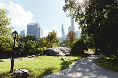 NEW YORK, USA - OCTOBER 8, 2018: scenic view of skyscrapers and city park in new york, usa clipart