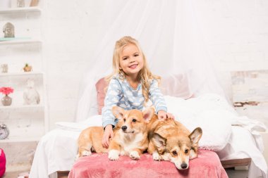 corgi köpek yatak odası oturma sevimli çocuk gülümseyen