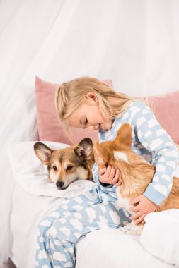 çok güzel çocuk yatakta pembroke welsh corgi köpek evde oturan