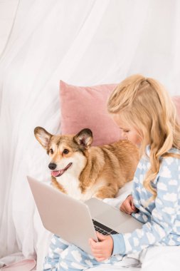 çocuk ile güzel corgi köpek yatakta oturuyor ve dizüstü evde kullanma