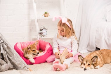 cute child in bunny ears headband sitting with welsh corgi dogs at home and reading book  clipart