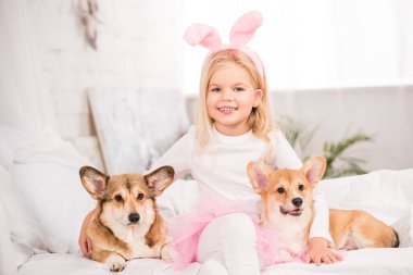 cute child in bunny ears headband sitting with welsh corgi dogs on bed at home  clipart